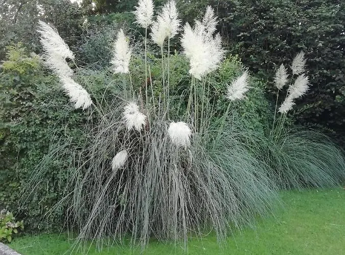 公寓 Victoria 特雷西索梅