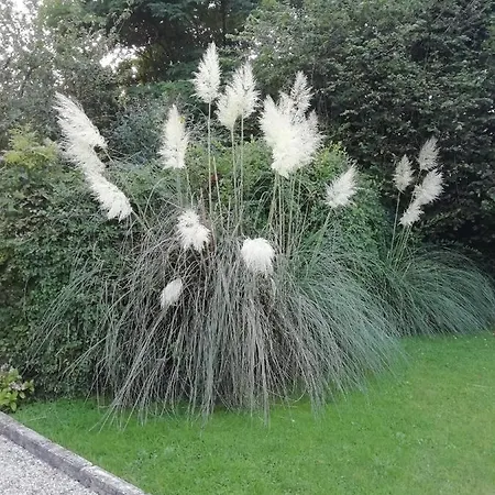 Appartamento Victoria Tracy-sur-Mer