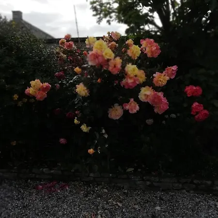 Appartamento Victoria