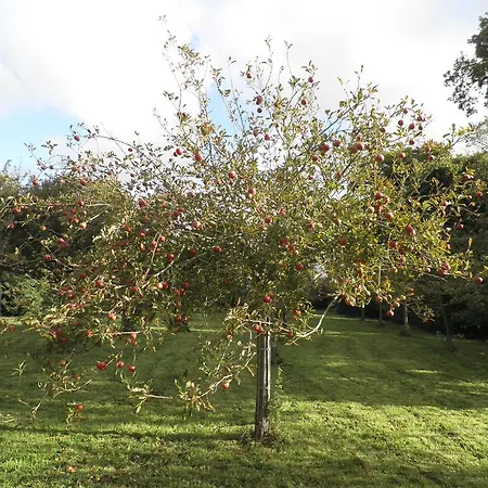 Appartamento Victoria *