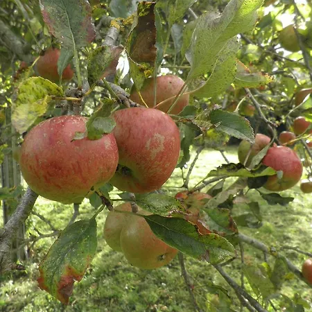 Appartamento Victoria Tracy-sur-Mer