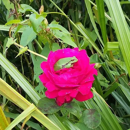 Appartamento Victoria Tracy-sur-Mer