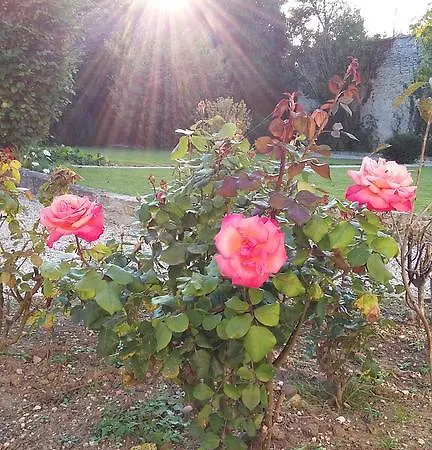 Appartamento Victoria *