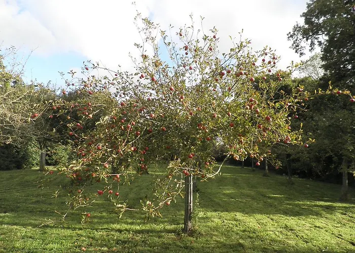 Appartamento Victoria *