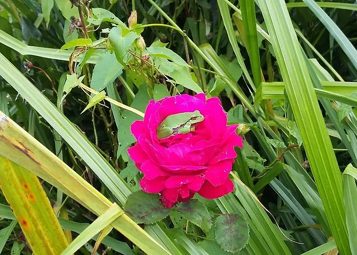 Apartman Victoria Tracy-sur-Mer